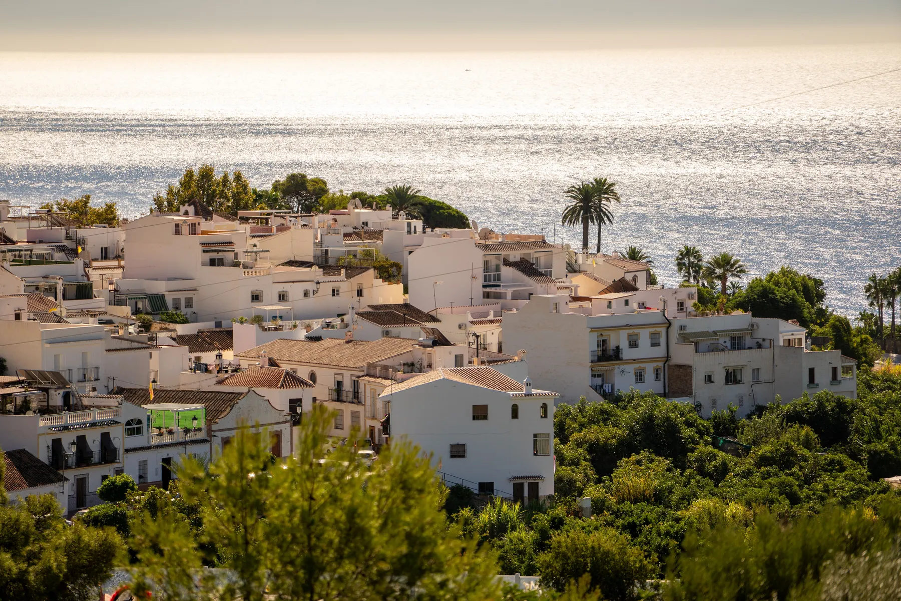 Local support in Nerja and nearby Costa del Sol communities.