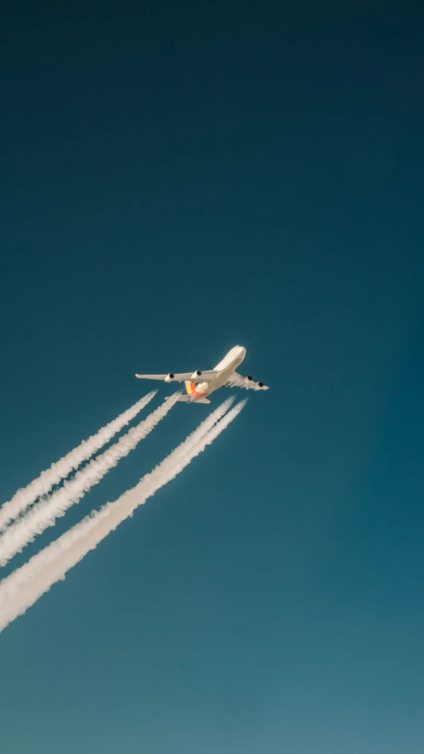 International repatriation