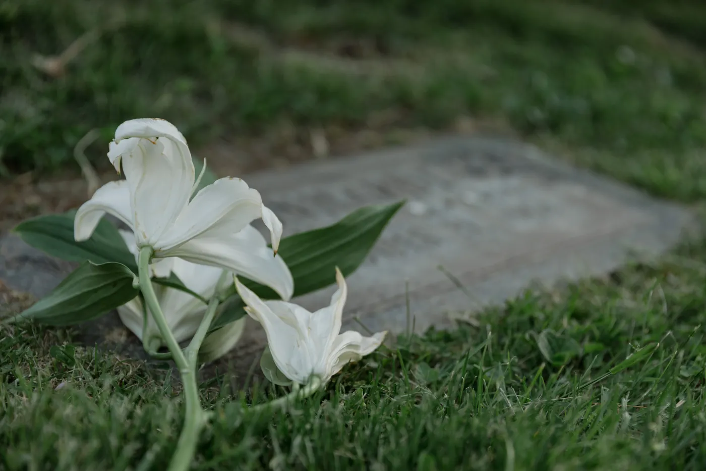 Cremation or Burial in Spain: How to Choose